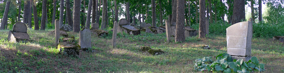 Old jewish Cemetery