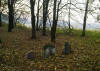 Surviving Gravestones 2011