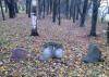 Surviving Gravestones 2011