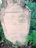 DSCN6773