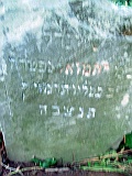 DSCN6779