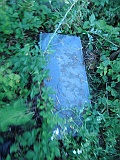 DSCN6820