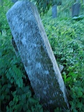 DSCN6854