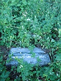 DSCN6864