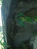 Bedevlya-tombstone-048