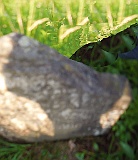 Berezovo-tombstone-165