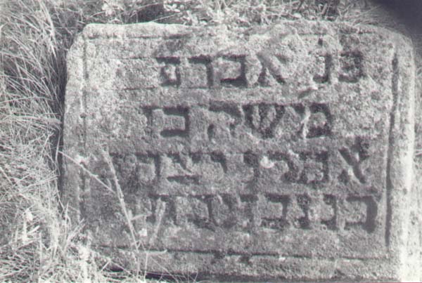 avrummoshe.jpg (57889 bytes)