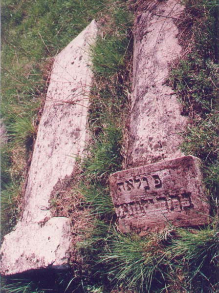 leah.JPG (76546 bytes)