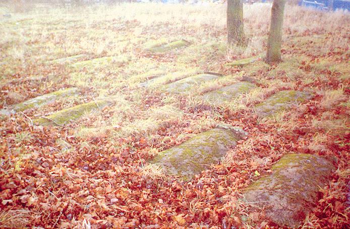 stones.jpg (98448 bytes)