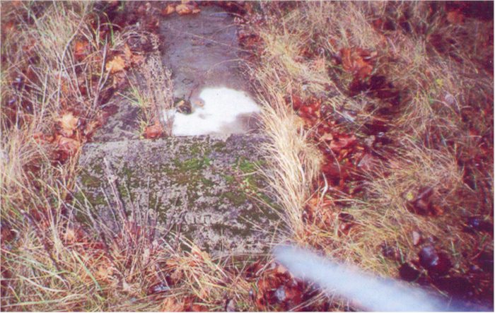 stone4.jpg (93116
        bytes)