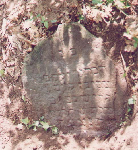 yaacovtzvi.jpg (57757 bytes)