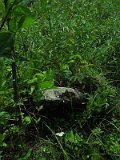 Belki-stone-0579