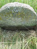 Belki-stone-0664