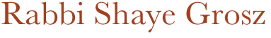Rabbi Shaye Grosz