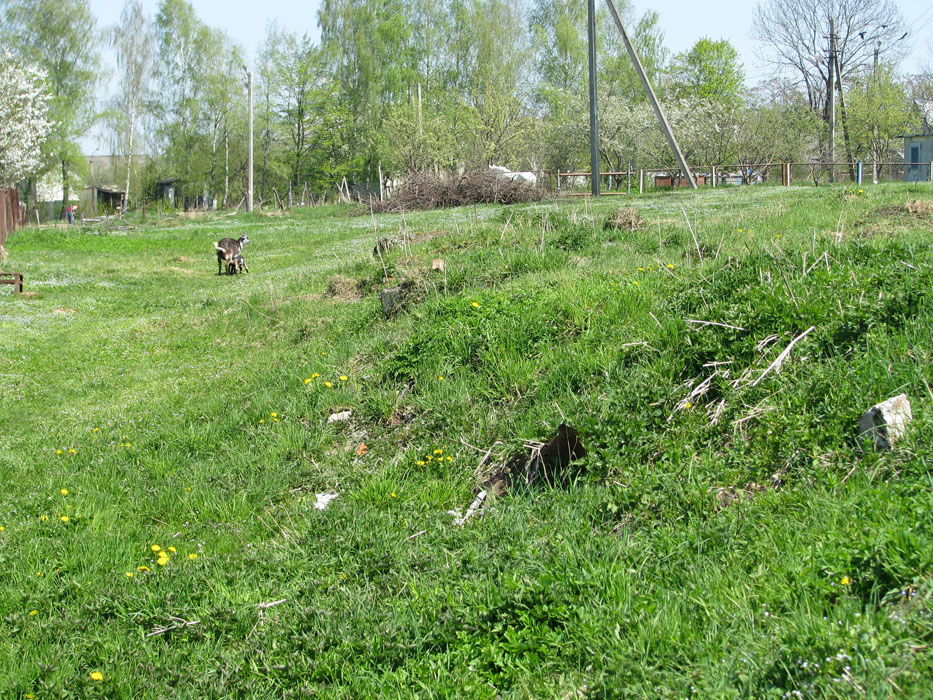 Bohorodchany -
                New Jewish Cemetery