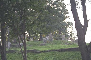 img0019.jpg (21828 bytes)