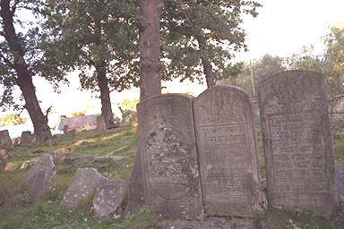 img0021.jpg (23524 bytes)