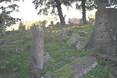 img0022.jpg (23949 bytes)