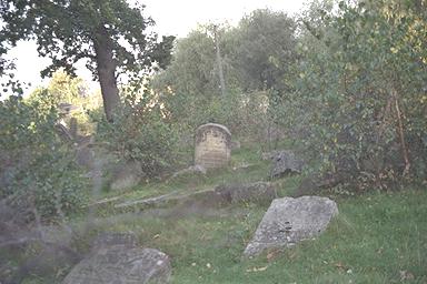 img0020.jpg (15199 bytes)