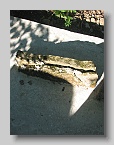 IMG_3680