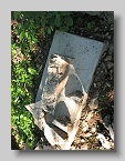 IMG_3823