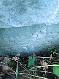 Bushtyno-tombstone-109