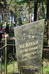 391 Nieman
