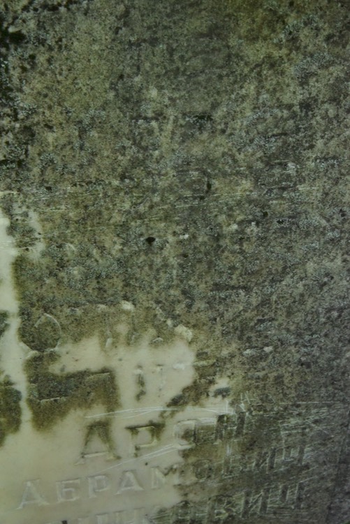 8890 Minkovich (close up)