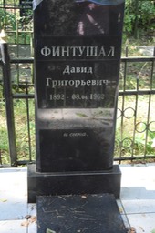 8924 Fintushul David