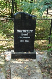 8933 Nisnevich