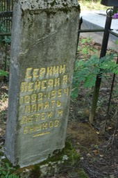 8941 Serkin