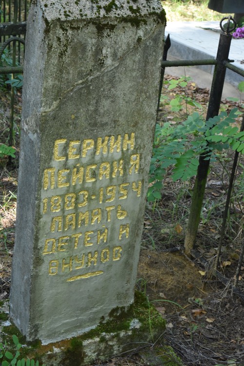 8941 Serkin