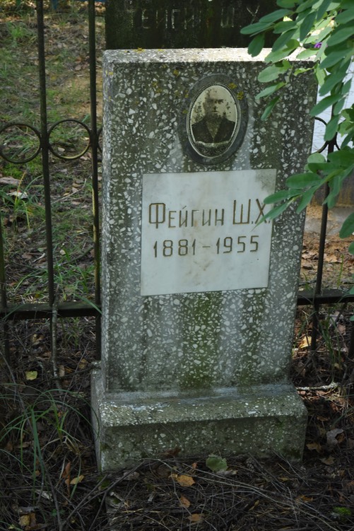 8943 Feygin
