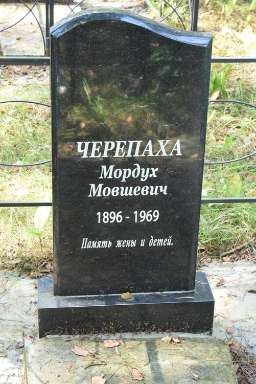 8951 Cherepakha