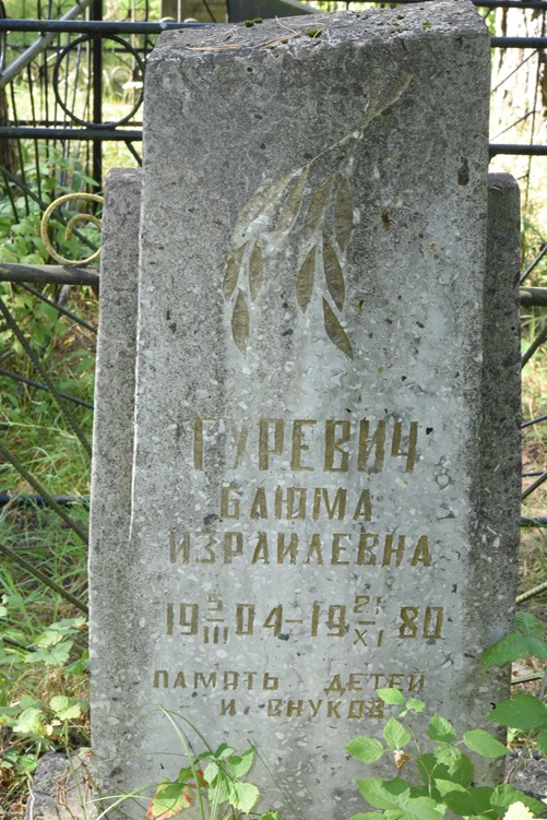 8960 Gurevich, B