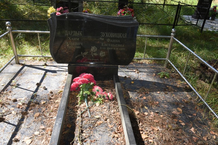 8969 Dardyk and Zukovitskaya
