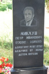 8973 Miklush