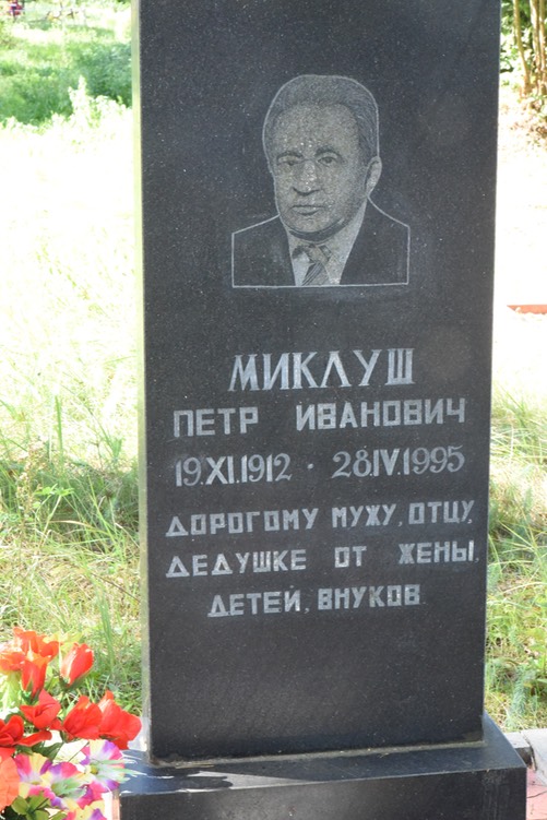 8973 Miklush