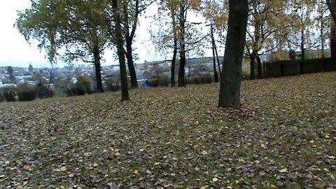 Berezino Cemetery