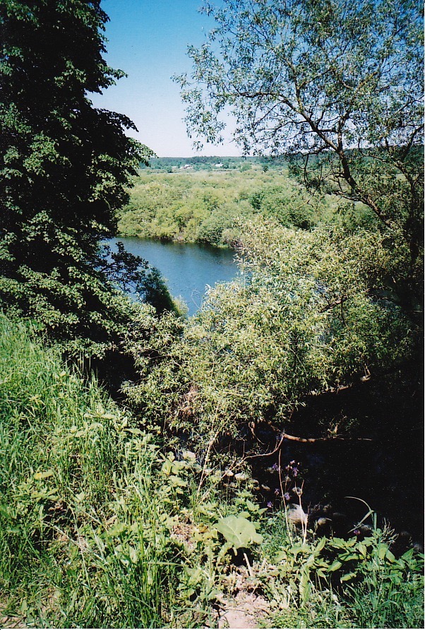 IMG_0013.jpg
