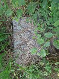 Chopivka-tombstone-32