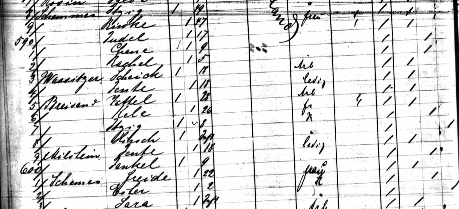 milstein ship manifest