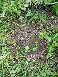 Dobryanske-tombstone-renamed-16