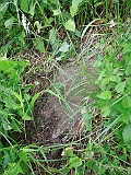 Dobryanske-tombstone-renamed-30