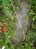 Dobryanske-tombstone-renamed-44