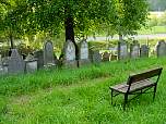 BenchMidHill.jpg