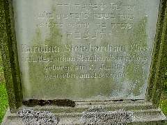 KarolinaSteinhardt.jpg