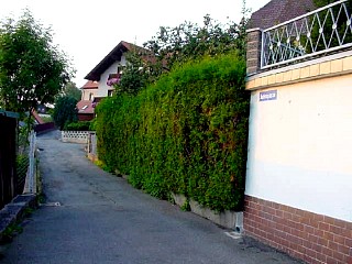 judengasse.JPG