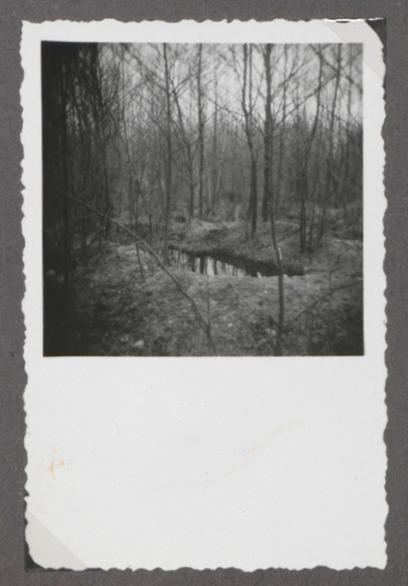 ne site