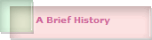 A Brief History